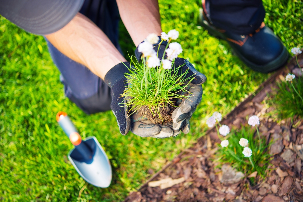 Finest landscaping and gardening services in Cedar Park, TX.