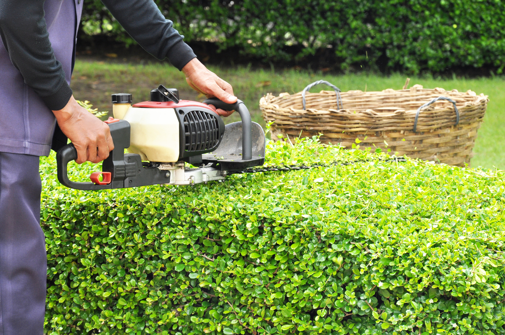 Lawn maintenance and lawn services in Cedar Park, TX.