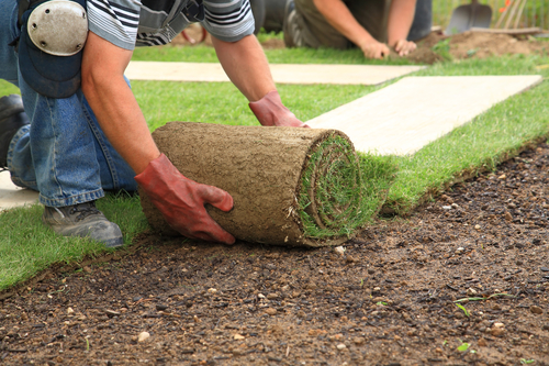Top-rated landscaping services in Cedar Park, TX.
